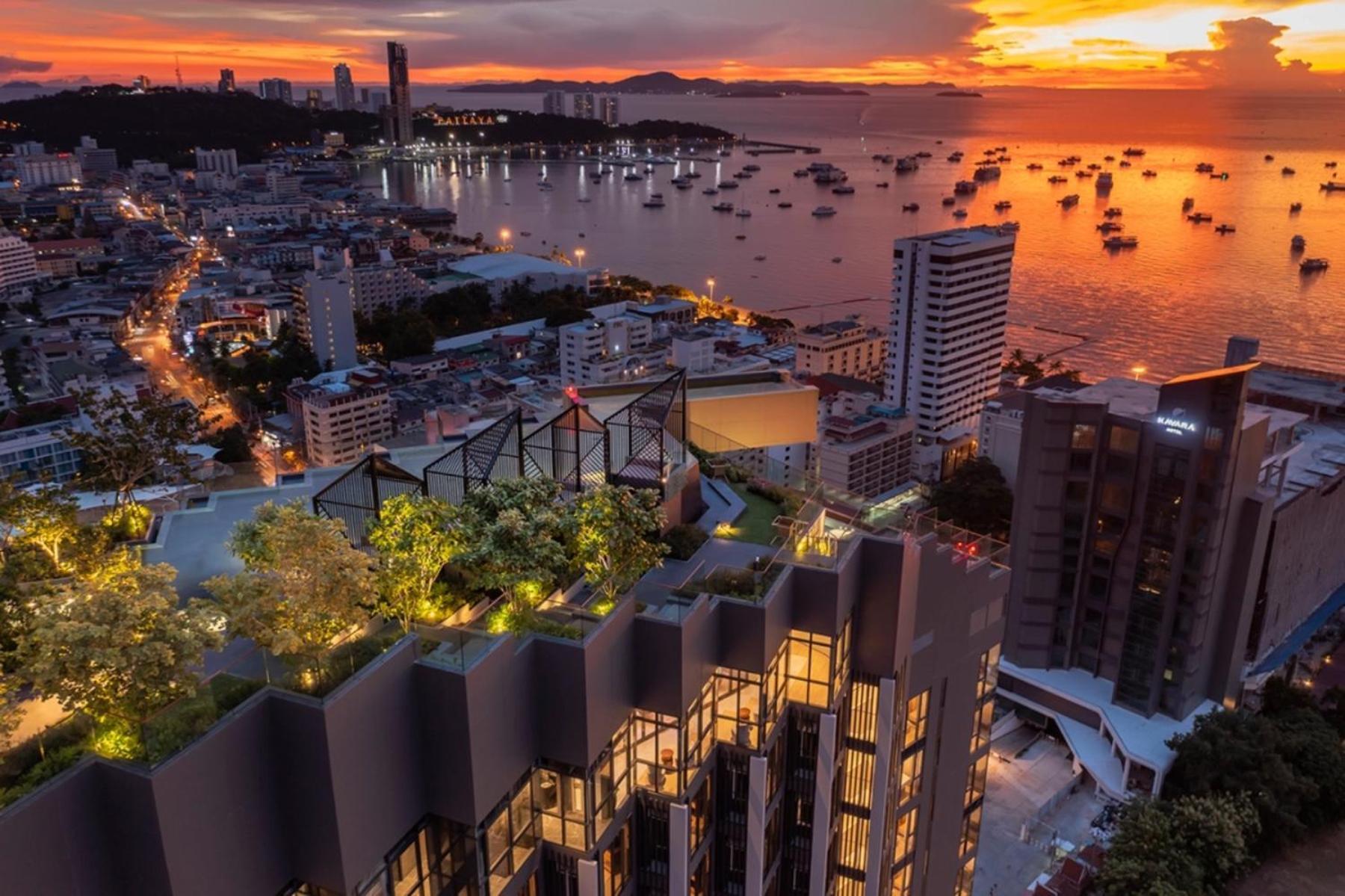 One-Bedroom Premium Apartment Ocean View